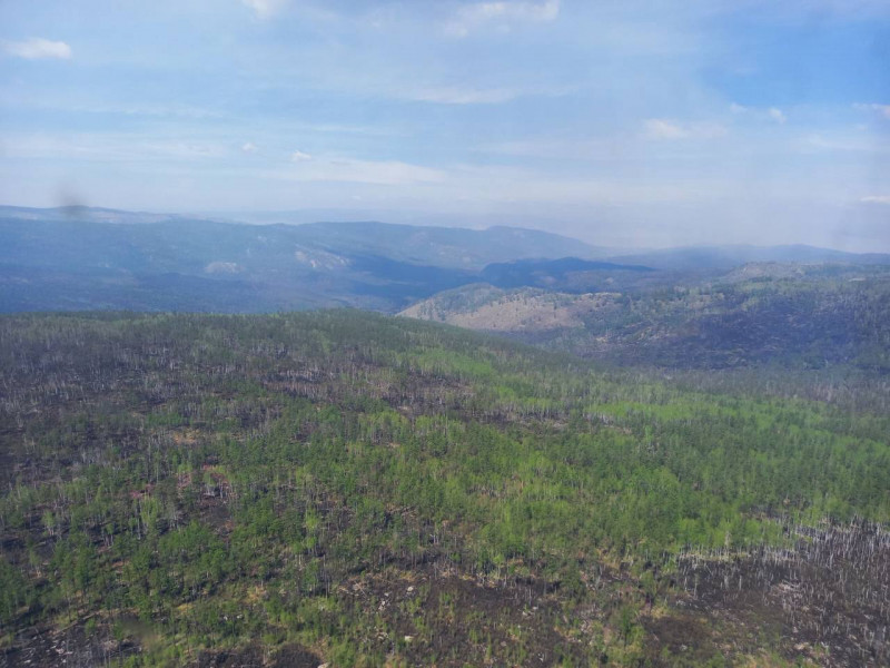 Пожар в Нарасунском лесничестве в Забайкалье действует уже трое суток. Фото: telegram-канал «Прокуратура Забайкальского края»