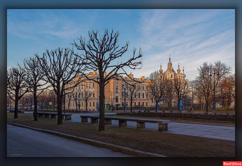 Обрезка деревьев в Санкт-Петербурге. Фото: Игорь Тепляков 