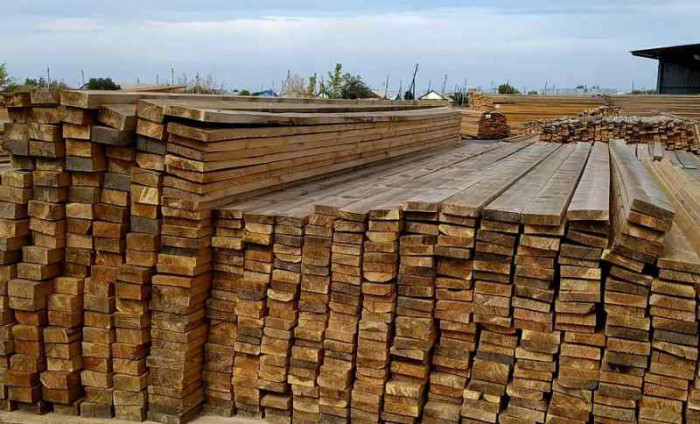 Контрабандистов из Читы и Иркутска осудили за вывоз леса в Китай на 9 млн рублей