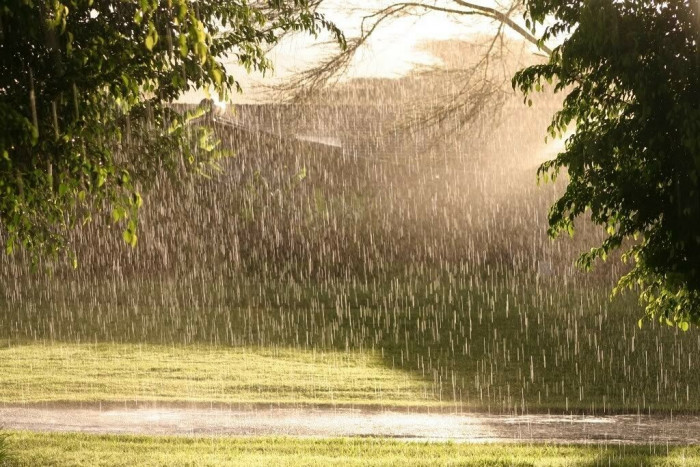 Кратковременные дожди с грозами обещают 15 августа в Забайкалье