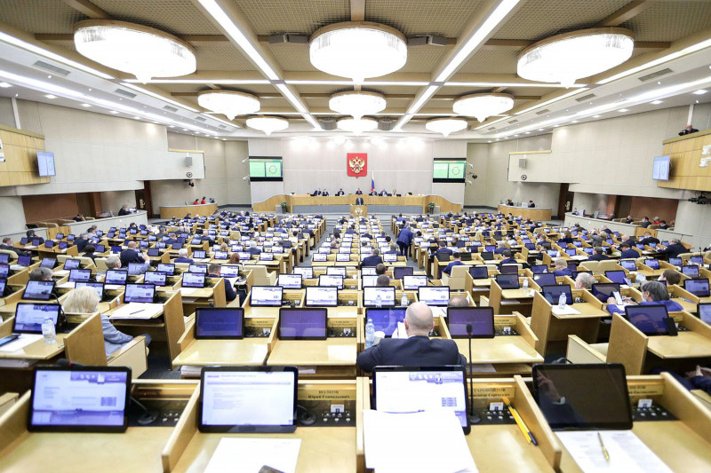 Доходы депутатов обезличили. Как проголосовали забайкальцы в Госдуме