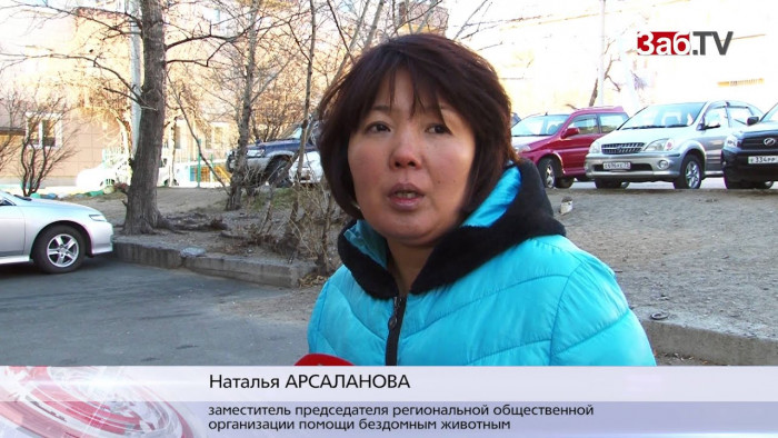 Зоозащитница Арсаланова: «Люди, которые издеваются над собаками – разве ж это люди?»