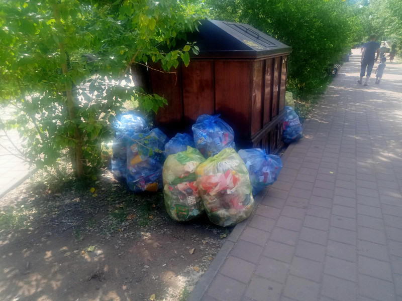 Мешки с мусором после уборки положили около контейнера. Фото ZabNews 