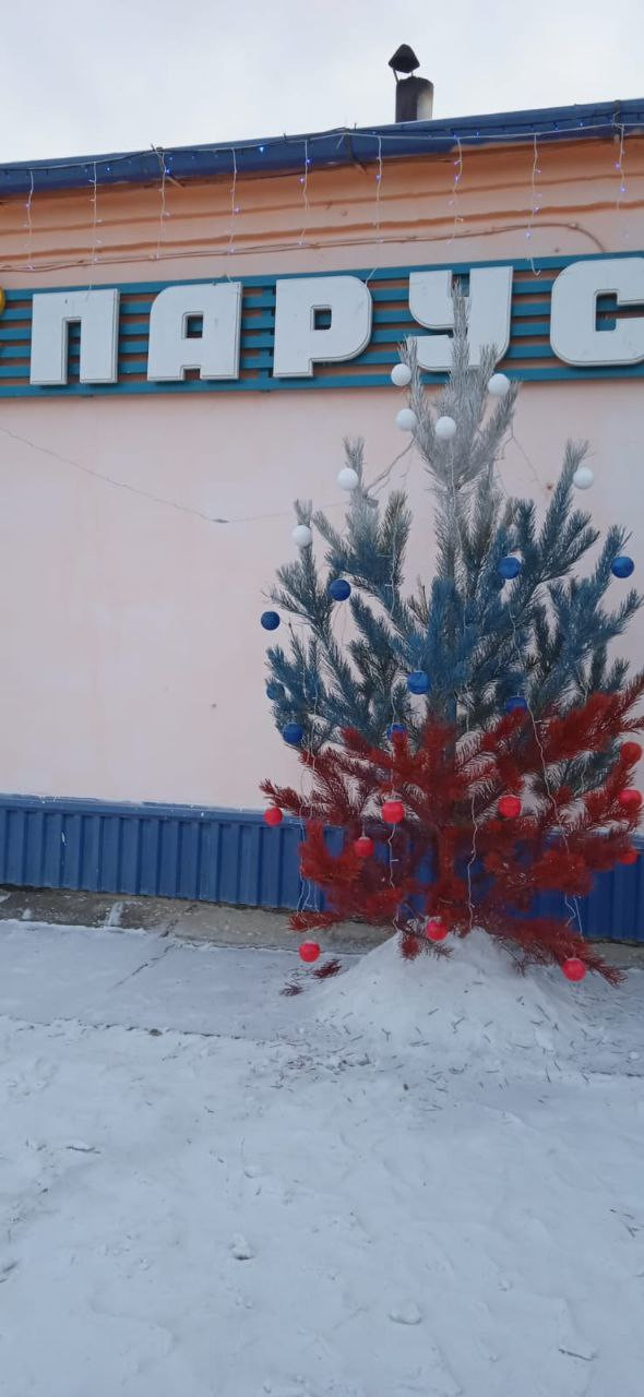 Новогоднюю ёлку в Сретенске раскрасили в цвета флага РФ для конкурса