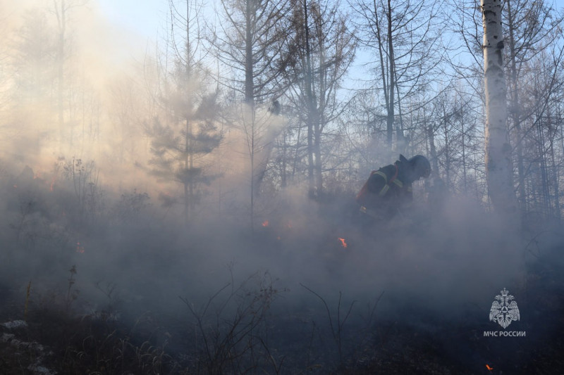 Почти 3 гектара леса сгорело из-за рыбака в Акшинском районе Забайкалье