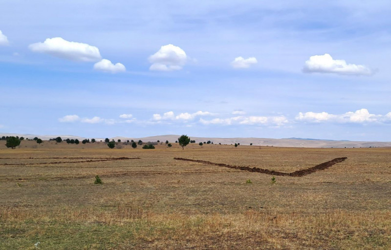 Нерчинские лесники посадят сосны в рамках региональной акции «Zа лес»