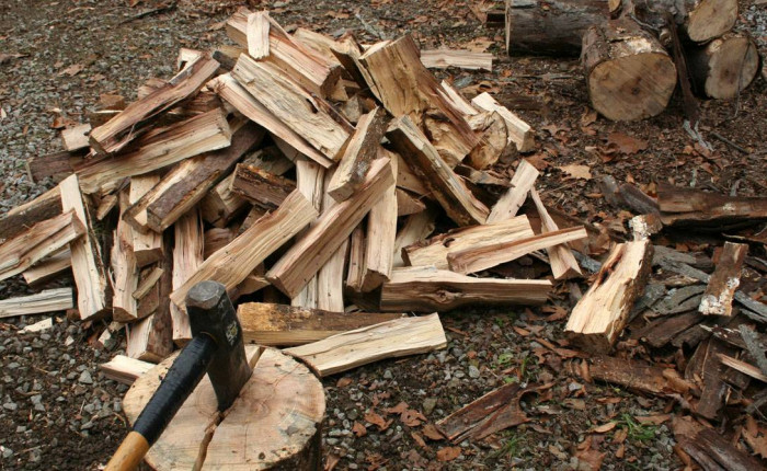 Четверых членов ОПГ, вырубившей лес на 1,4 млн руб., осудили в Забайкалье