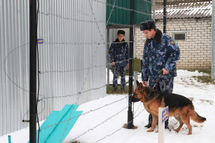 Более 100 запрещённых предметов обнаружили служебные собаки за забором колоний в Забайкалье