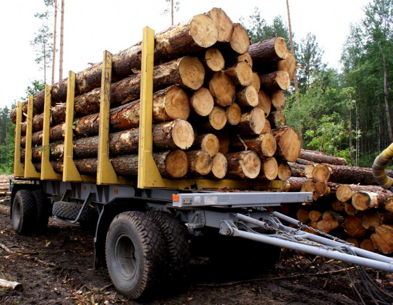 Забайкалец заплатит 82 млн руб. за контрабанду леса в Китай