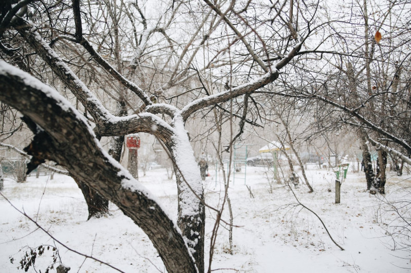 Потепление до +6 тепла и снег обещают 24 марта в Забайкалье