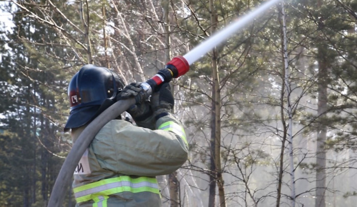Читинские спасатели импровизировали лесной пожар на учениях