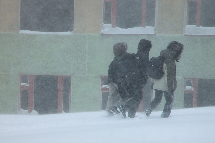 Детям разрешили не ходить в школу при сильных морозах