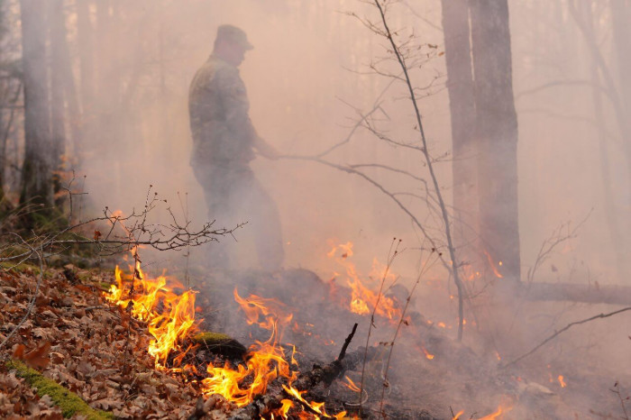 Двоих поджигателей леса за неделю задержали в Забайкалье