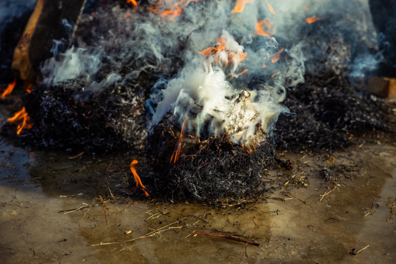В Забайкалье выявили виновника лесного пожара – с него пытаются взыскать затраты на тушение