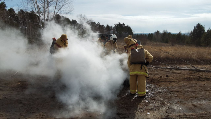 Семь виновников ландшафтных пожаров нашли сотрудники МЧС за сутки