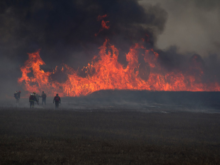 Площадь лесных пожаров в Забайкалье на 1 мая превысила 35 тыс. га