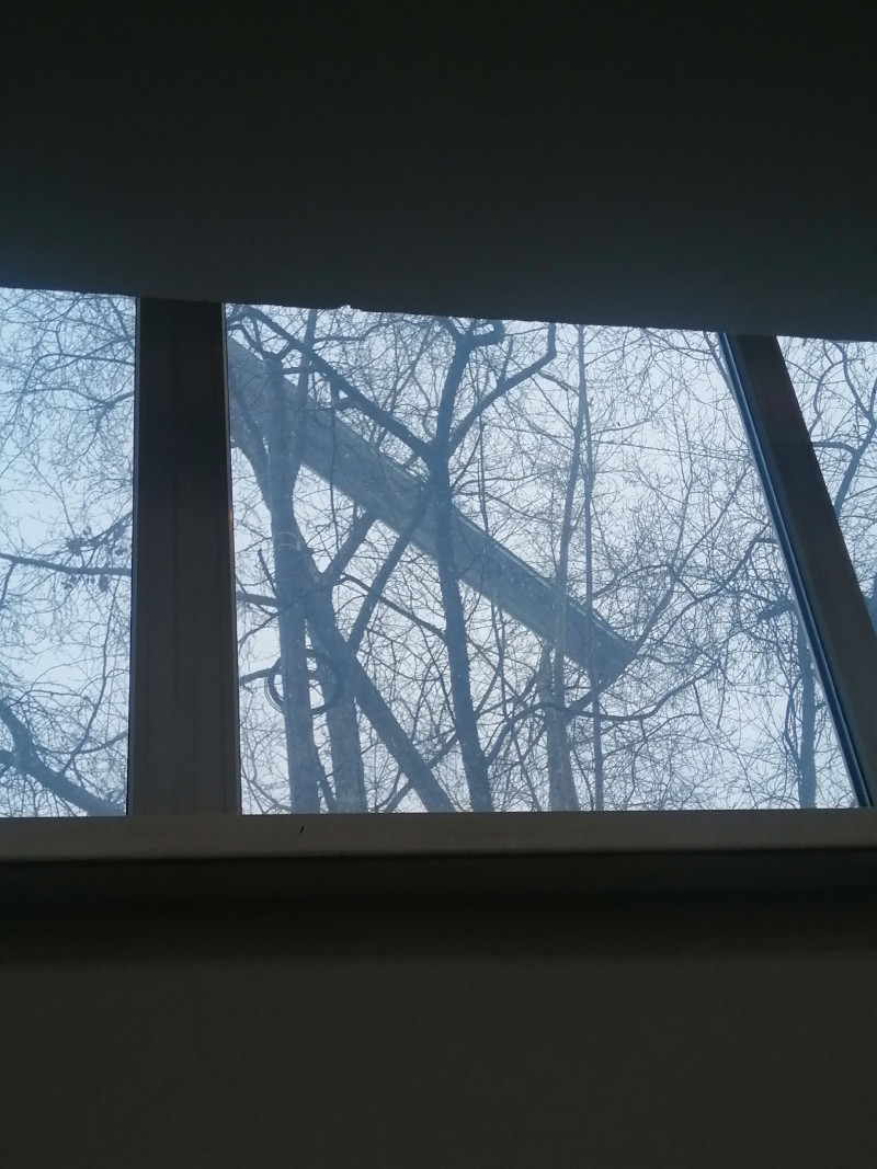 Крышу снесло со здания училища культуры в Чите, профлист повис на дереве
