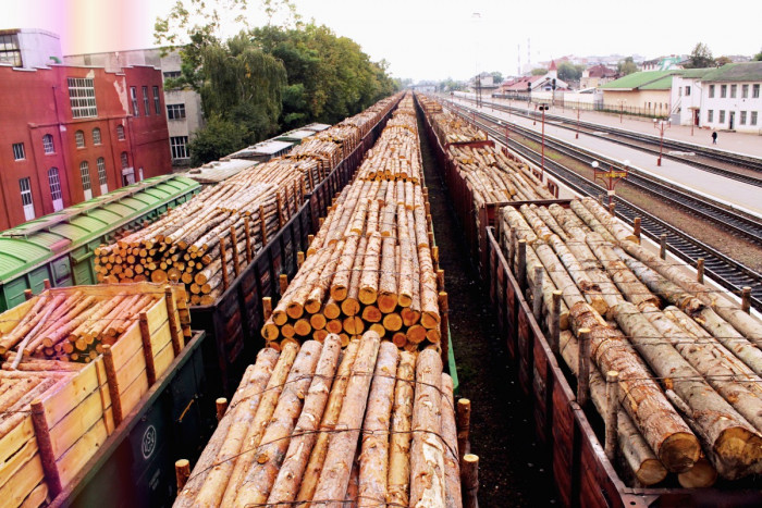 Иркутянин за 4 года вывез в Китай через Забайкалье древесину на 31 млн рублей