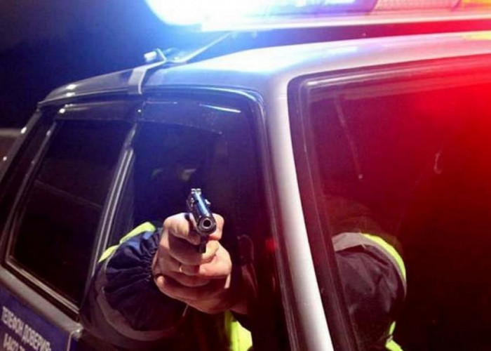 Полицейские стрельбой по колёсам остановили угонщика в Шилке