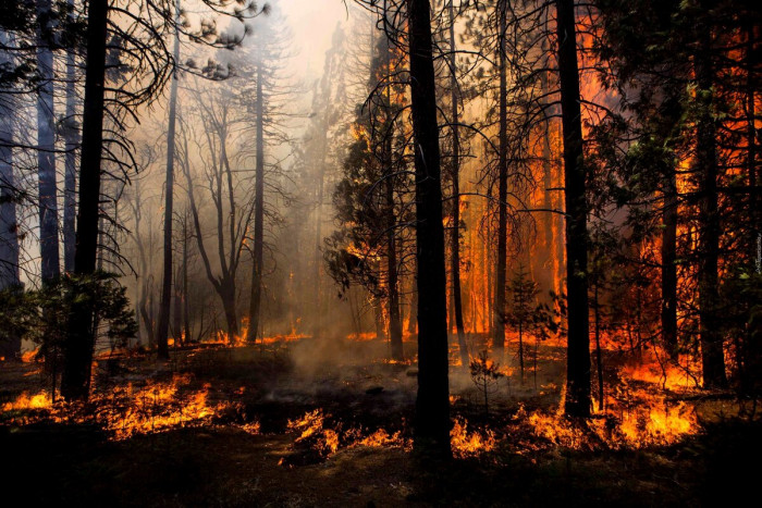 Площадь лесных пожаров в Забайкалье выросла почти до 13 тысяч гектаров