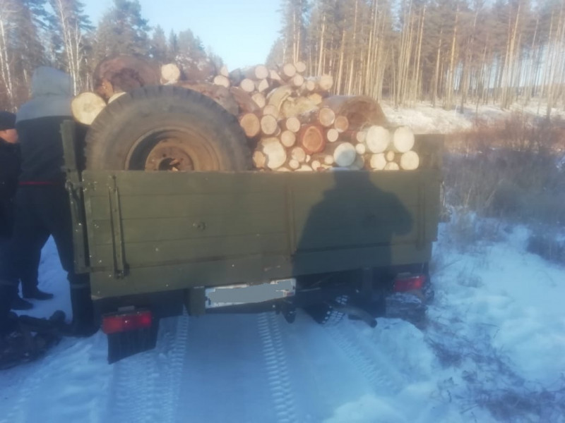 «Чёрные» лесорубы спилили 15 лиственниц в Забайкалье. Ущерб составил 350 тысяч рублей