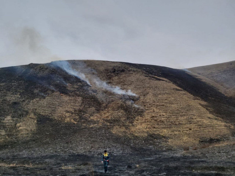 За майские праздники на территории Забайкалья произошёл 51 лесной пожар
