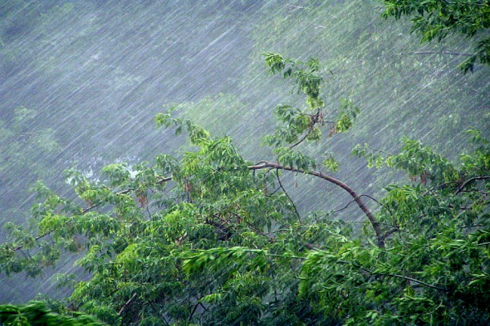 Очень сильные дожди и ливни ожидаются в некоторых районах Забайкалья 1 июля