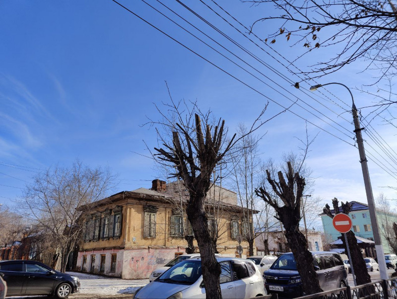 Поллардинг деревьев на улице Выставочной в Чите. Фото: ZabNews
