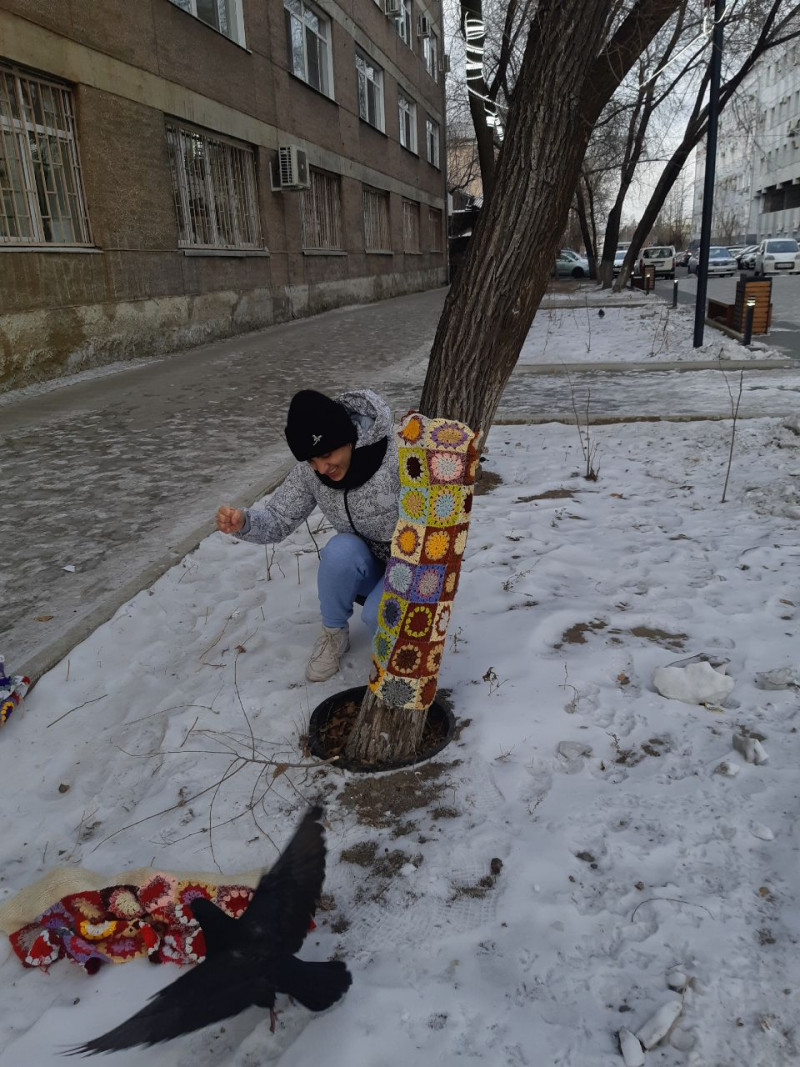 Активисты укутали в шарфы деревья на Театральной площади в Чите