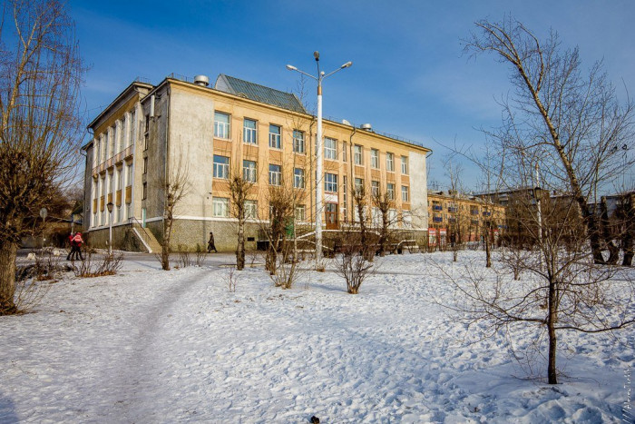 Пушкинская библиотека научит пенсионеров безопасно пользоваться мобильным интернетом в Чите