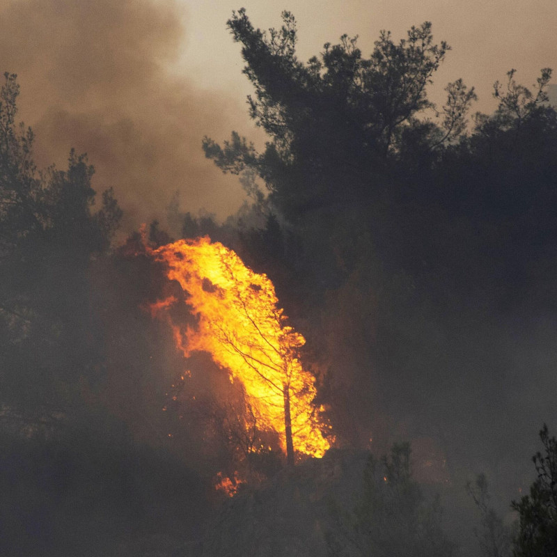 Два жителя Забайкалья вернут в бюджет РФ 267 тысяч рублей за лесной пожар