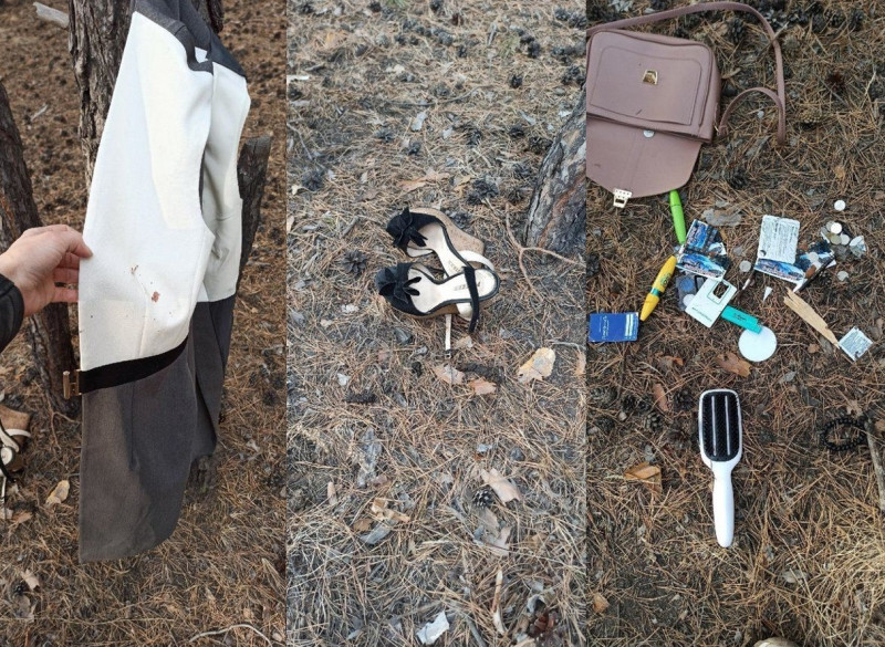 Жительница Читы нашла в лесу женские вещи и сумку со следами, похожими на кровь