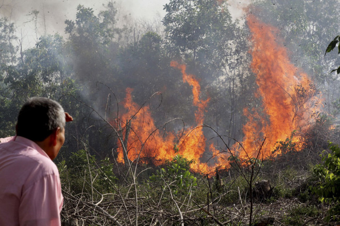 Двое поджигателей леса за неделю задержаны в Забайкалье