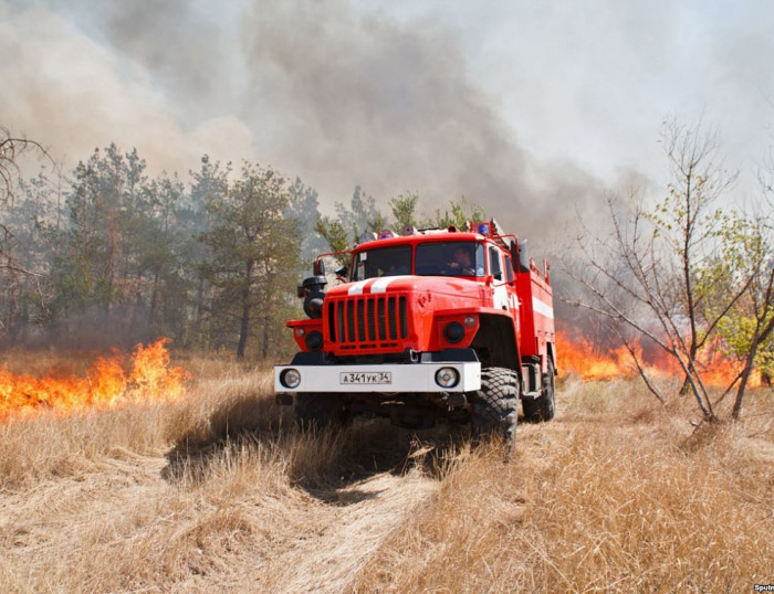 Особый пожарный режим в лесах Забайкалья могут ввести в конце марта