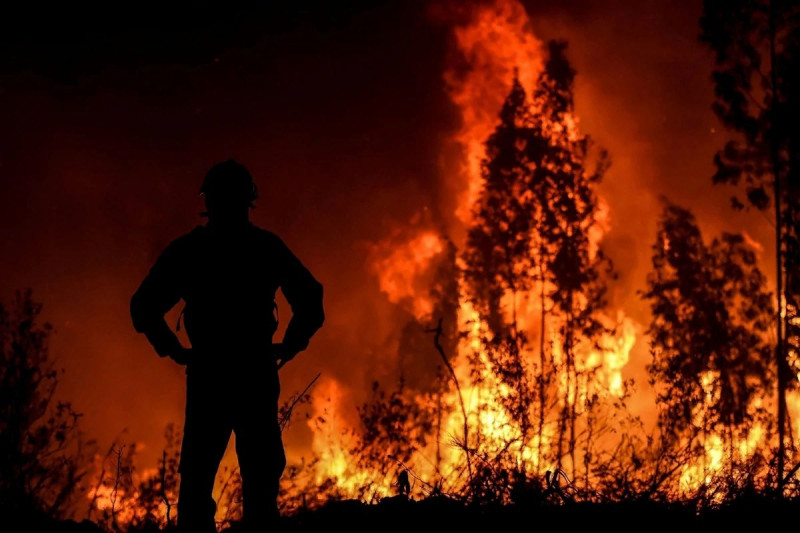Число уголовных дел из-за лесных пожаров в Забайкалье увеличилось в 3,3 раза
