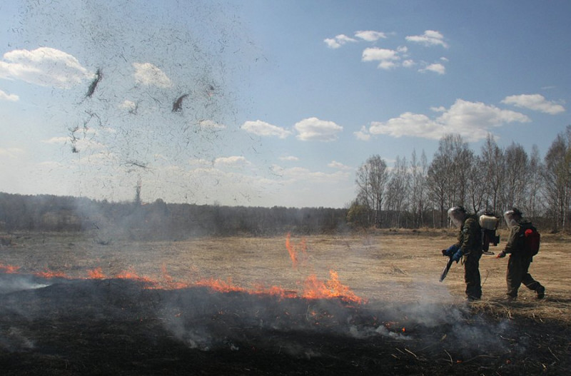 Военные пожарные контролируют пал травы на полигоне в Читинском районе