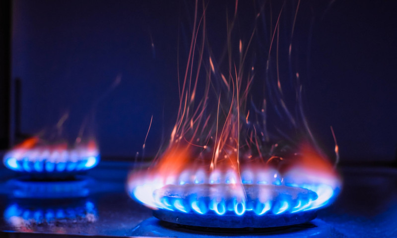 Компания «Газпром» разработает схему газификации Забайкалья до марта 2023 года