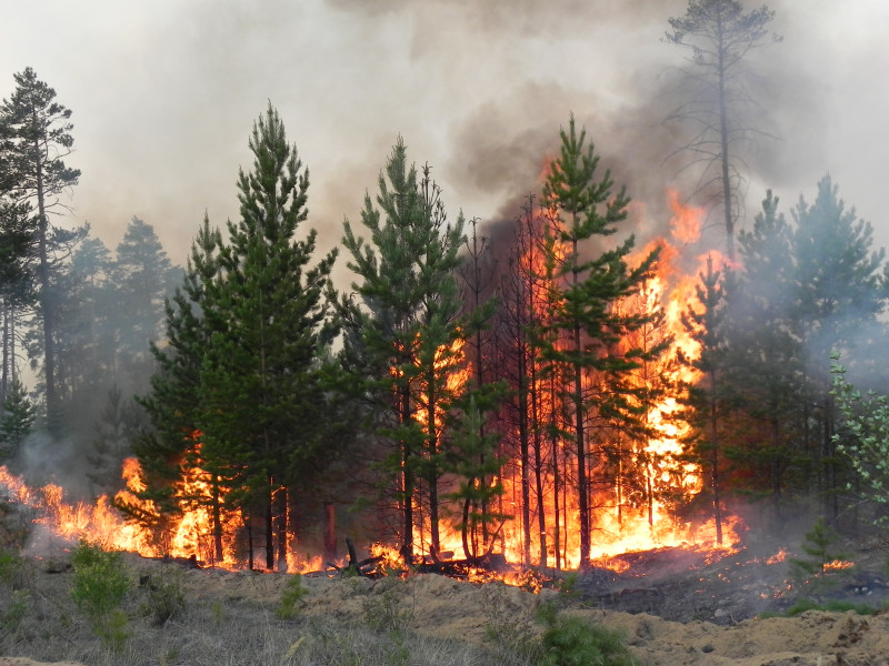 Первые лесные пожары в Забайкалье начнутся в марте