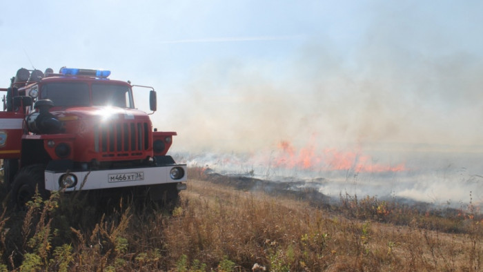Три сельхозпредприятия Кыринского района не были готовы к пожароопасному периоду