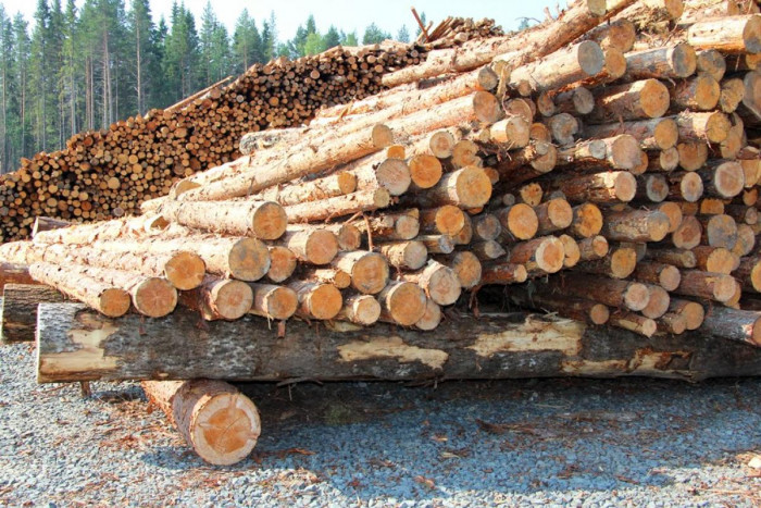 28 из 65 лесоприёмных пунктов осталось в Петровск-Забайкальском районе