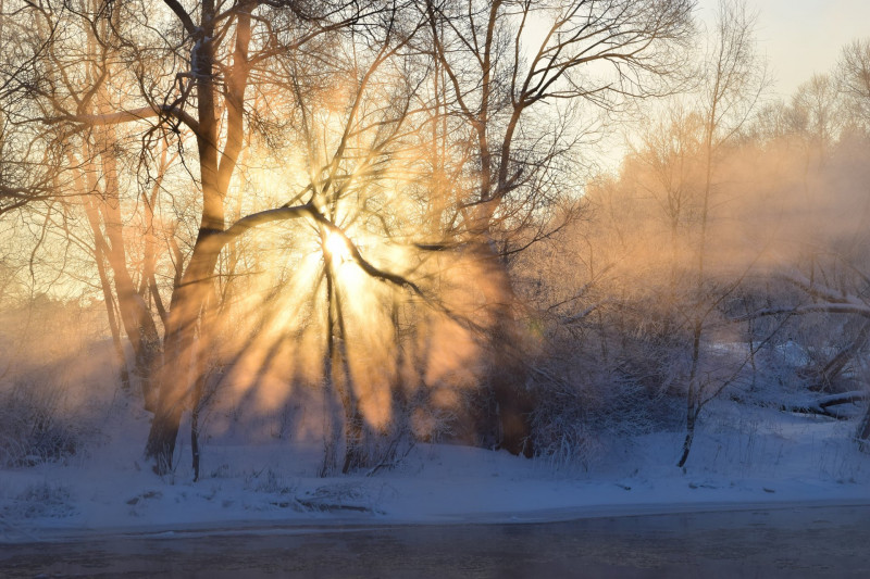 Туманы и морозы до 20 градусов ожидаются в Забайкалье 6 января