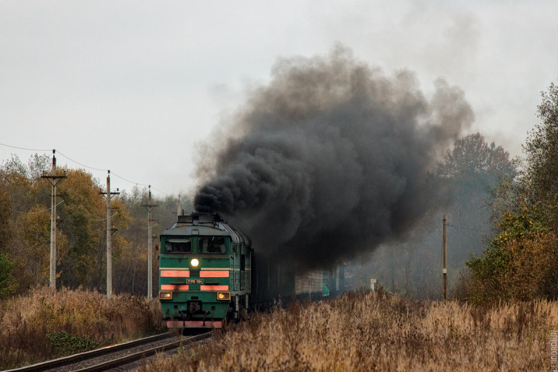 Около 3 тыс. га выгорело с начала года в Борзинском районе из-за тепловозов