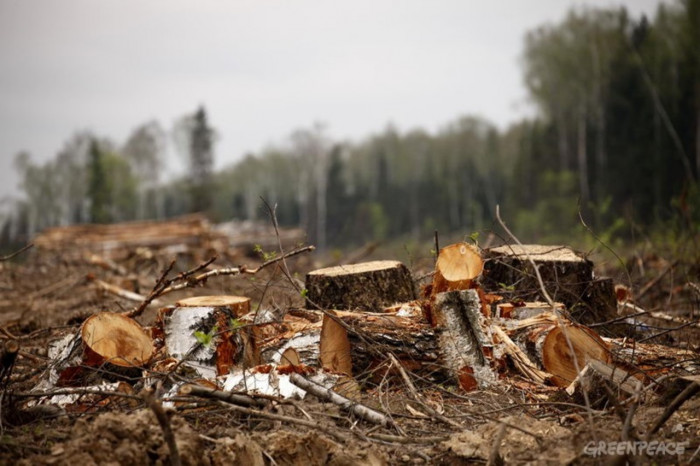 Житель Засопки в Чите заявил об экологической катастрофе в посёлке