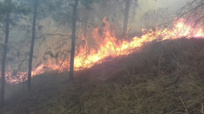 В Забайкалье за сутки вспыхнуло три лесных пожара