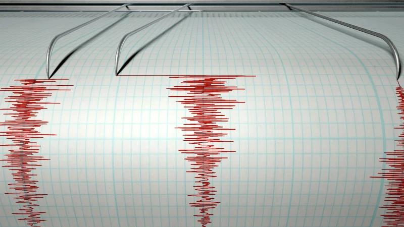 МЧС Забайкалья подтвердило, что землетрясение в Бурятии вызвало толчки в Чите