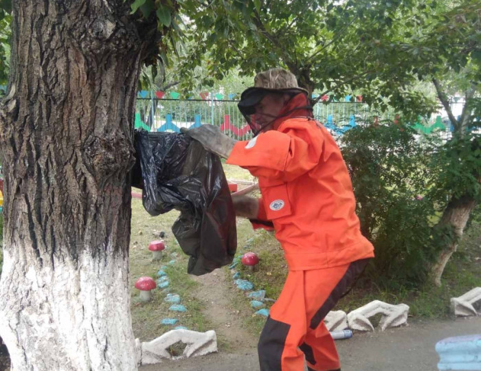 Спасатели убрали осиное гнездо с территории детсада в Чите