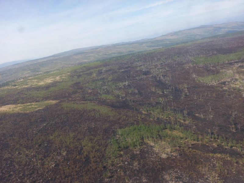Лесной пожар трое суток бушует в Забайкалье из-за непотушенного рыбаком костра