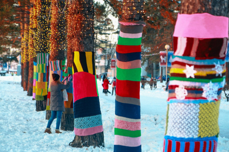 Создать вязаный «шарфиковый» парк предложила жительница Читы