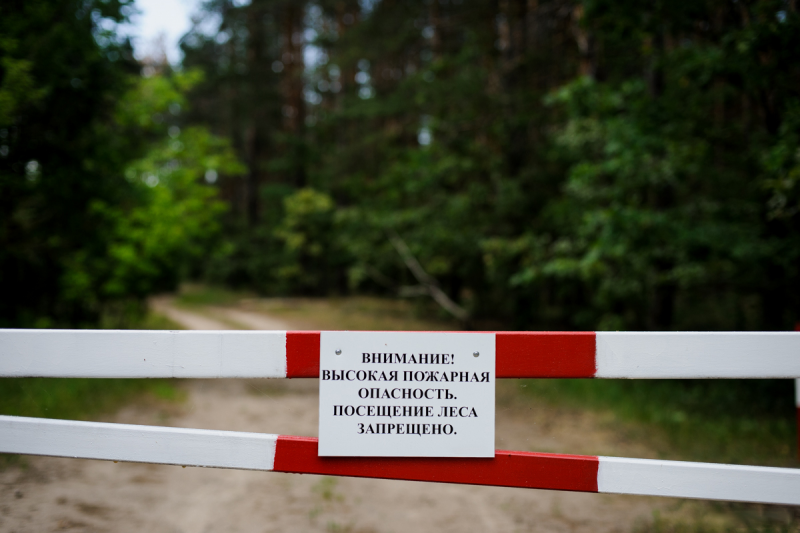 Забайкальцам продлили запрет посещать лес и жарить там шашлыки до 24 июня