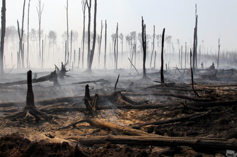 Желающих заработать на лесных пожарах будут ловить в Забайкалье